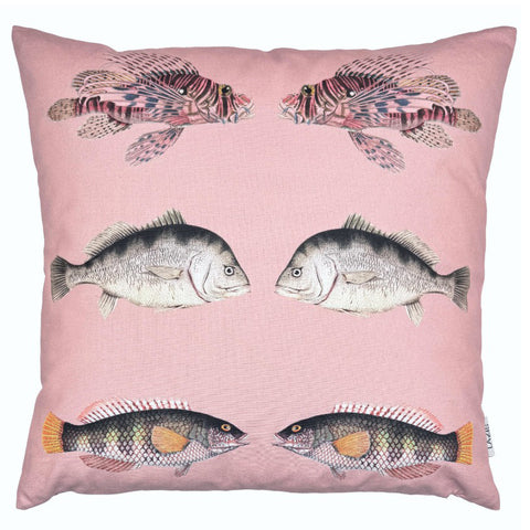 Kissenhuelle Catch of the day  50x50