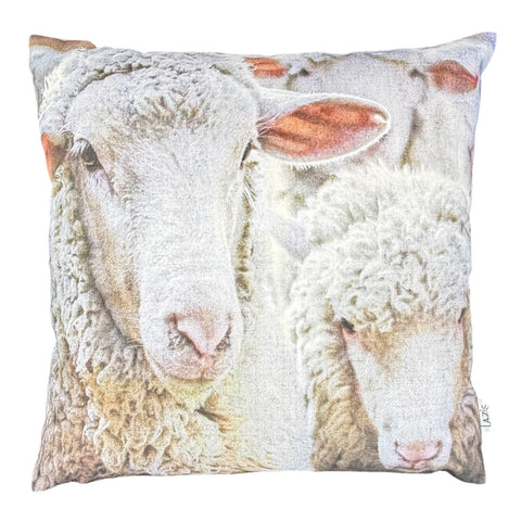 Kissenhuelle flock of sheep 50x50